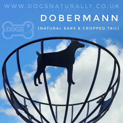 Dobermann Basket 